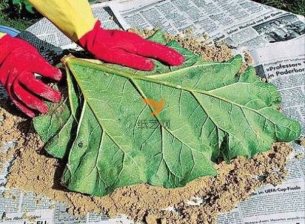 Turn Waste into Treasure Leaf-shaped Fruit Dessert Tray Creative DIY Tutorial on Turning Waste into Treasure