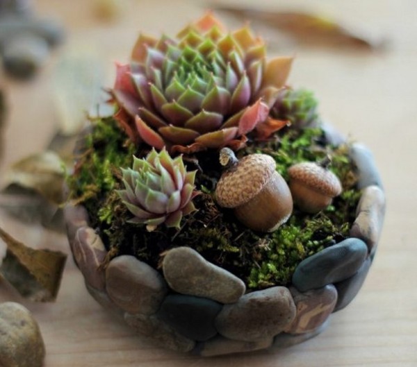 Use ultra-light clay to imitate stone creatively to make succulent plant pots