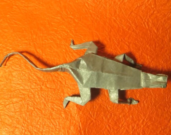 Origami video tutorial for origami lizard