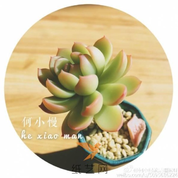 He Xiaoman’s succulent clay tutorial is here! ! !