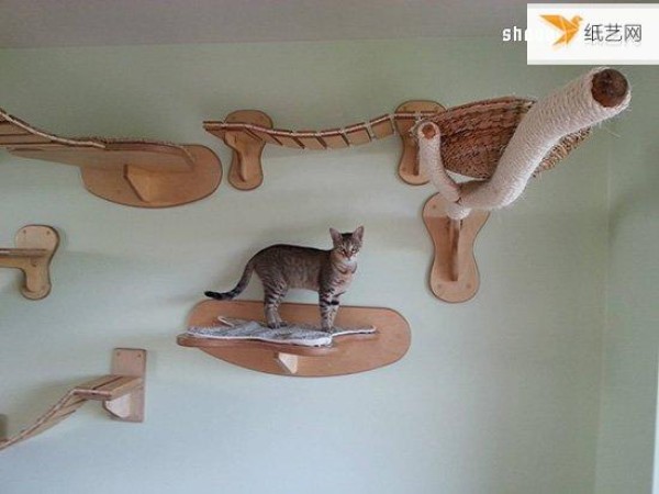 The unique cat climbing frame that makes cats and cats happy like an aerial paradise