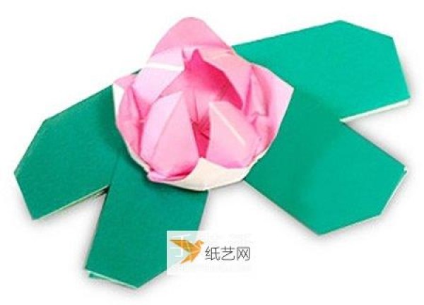 Illustration of how to fold a delicate lotus flower using origami