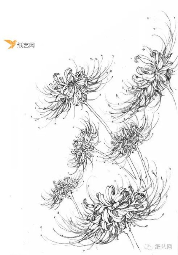 Xiaobai’s paper line drawings and master’s paper line drawings, everyone can choose what they need!