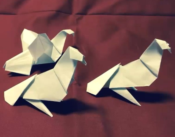 Tutorial on making three-dimensional origami peace dove