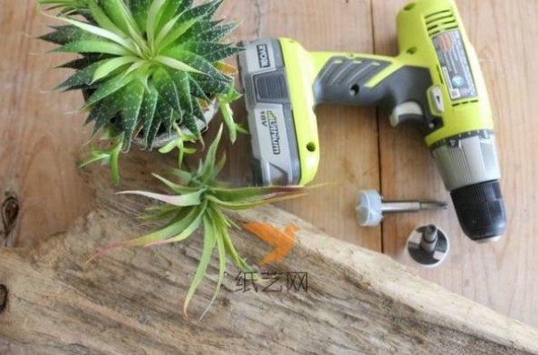 Turn waste into treasure by transforming discarded logs into succulent plant pots