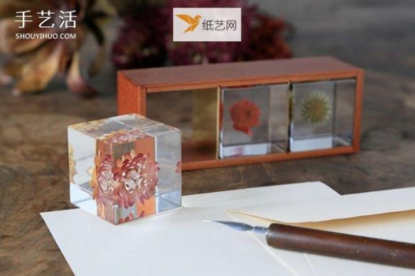 Yoshimura Koichi uses resin specimen cubes to seal nature into a small universe