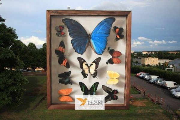 Create butterfly specimens for the entire apartment wall