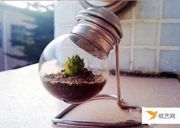 Tutorial on making creative and personalized mini succulent bonsai using discarded light bulbs