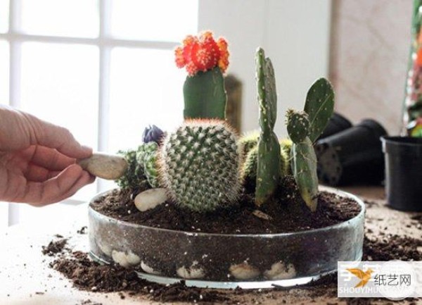 Tutorial on how to make a very simple and personalized homemade cactus bonsai