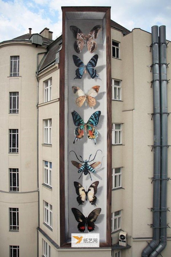 Create butterfly specimens for the entire apartment wall