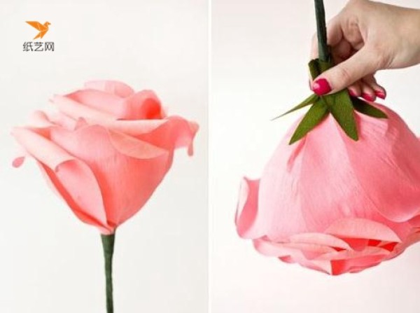 Tutorial on how to make paper roses, a must-have decorative flower for photos