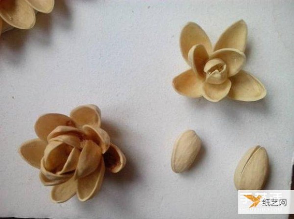 Use pistachio shells to make creative lotus decorative stickers