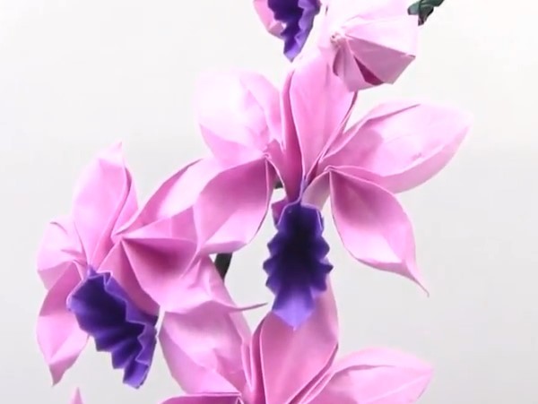 Paper Flower Creative DIY Origami Teaches You Origami Orchid