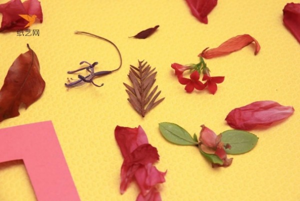 Childrens handicraft tutorials of the Leaf Museum