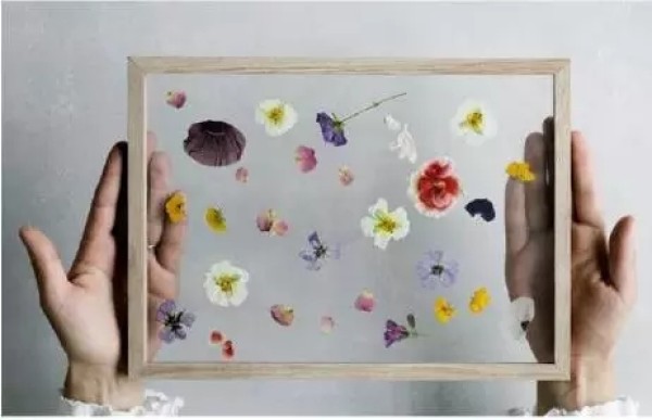 Unknown flowers and grasses are made into decorative paintings, so beautiful! Turn waste into treasure, simple style handmade tutorial!