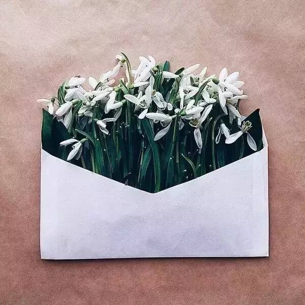 A piece of paper and a few flowers give you the most beautiful love letter