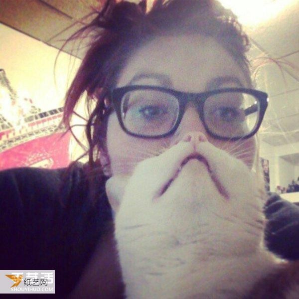 Very funny selfie photos using pet cats to take cute bearded photos