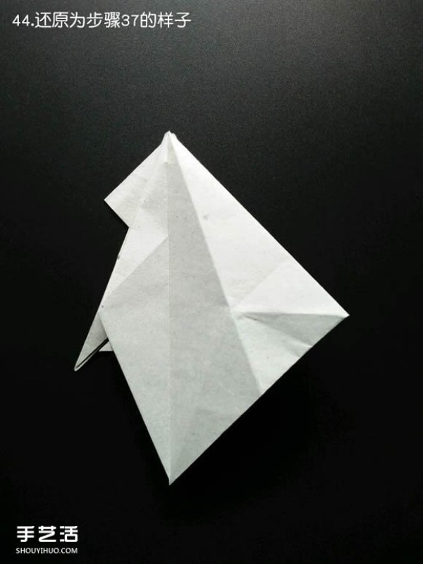 Detailed illustration of particularly complex paper shark folding