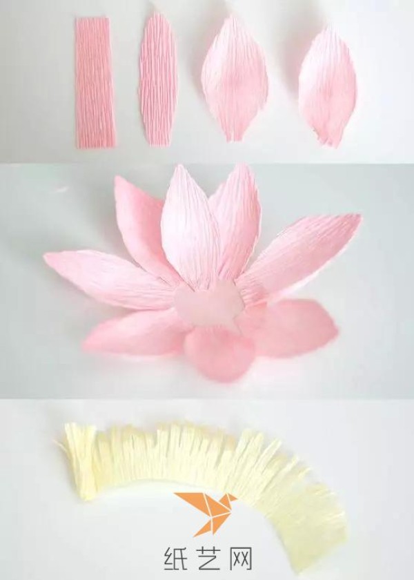 Illustrated tutorial on elegant lotus flowers on crepe paper