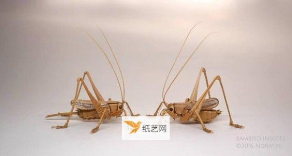 Delicately realistic insect models made from bamboo