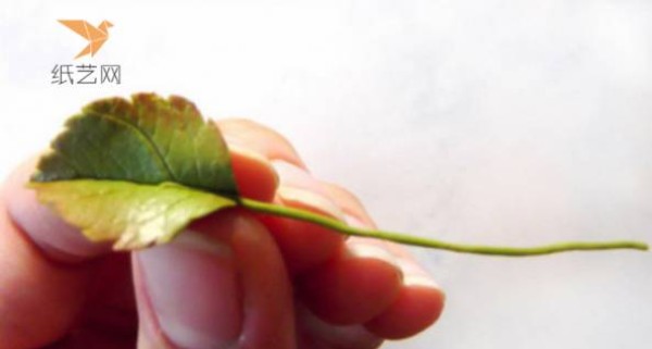 Pottery Tutorial Pottery Flowers and Leaves Fruit Picture