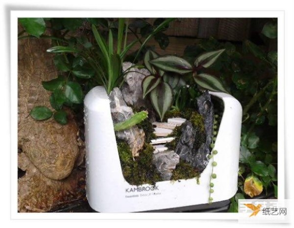 A beautiful miniature garden bonsai made from an old toaster