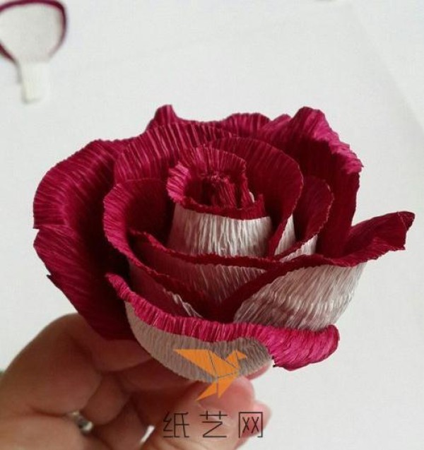 Beautiful two-color rose making tutorial