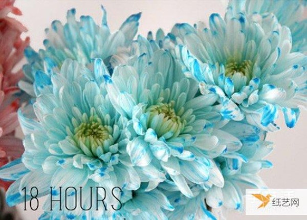 A simple science-based production using food coloring to smudge flowers