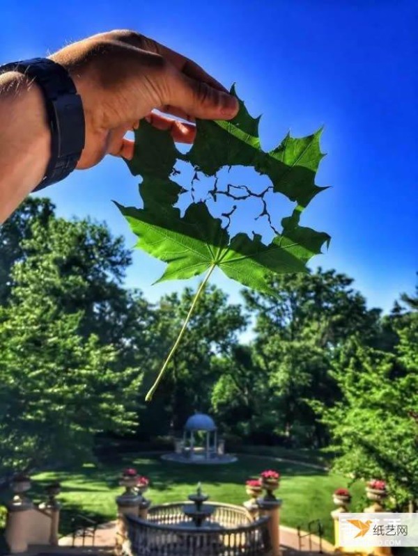 Appreciation of pictures of exquisite handmade leaf cutting scrolls