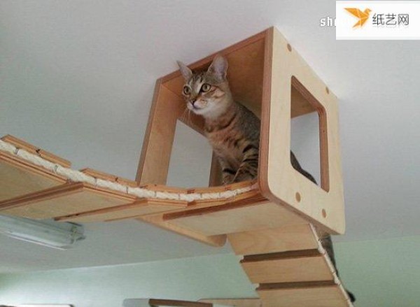 The unique cat climbing frame that makes cats and cats happy like an aerial paradise