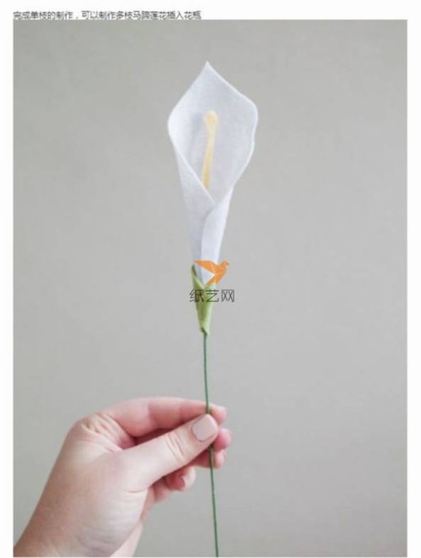 Non-woven calla lily making tutorial Non-woven cloth tutorial