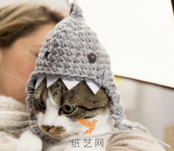 Childrens Day Gift Crochet Little Shark Cat Hat Tutorial