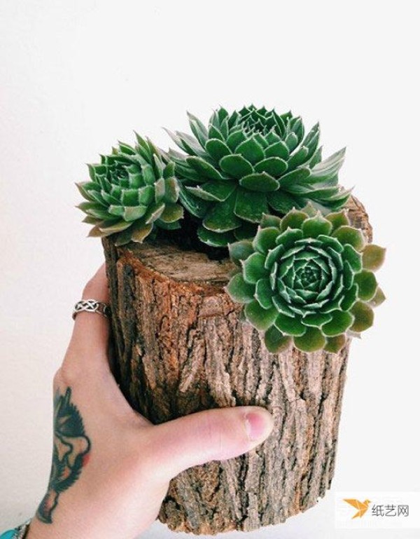 Use many incredible materials to create personalized succulent flower pots