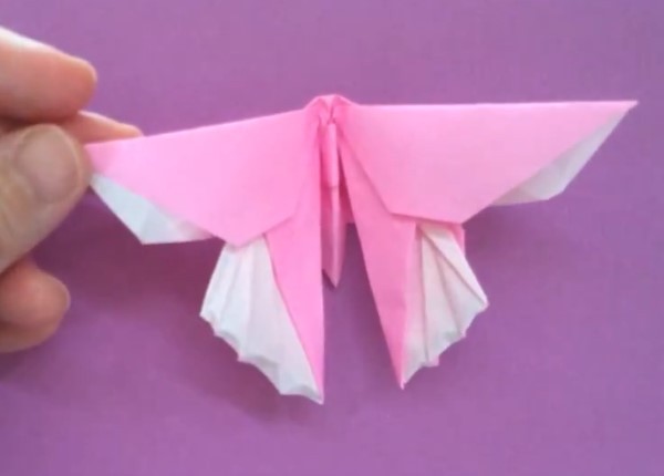 The latest origami butterfly folding video tutorial