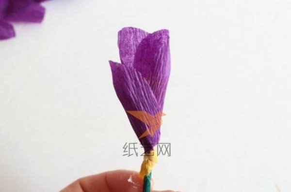 Tutorial on how to make lavender, blue and red crocus handmade paper flowers from crepe paper