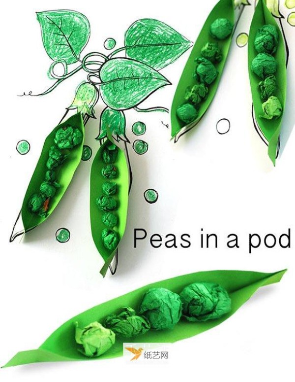 How to make cute pea pods for kindergarten children out of paper