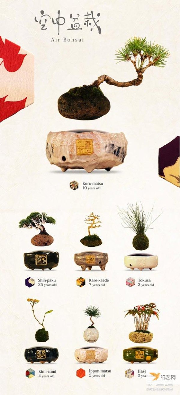 You must have never seen the AIR Bonsai floating Japanese bonsai