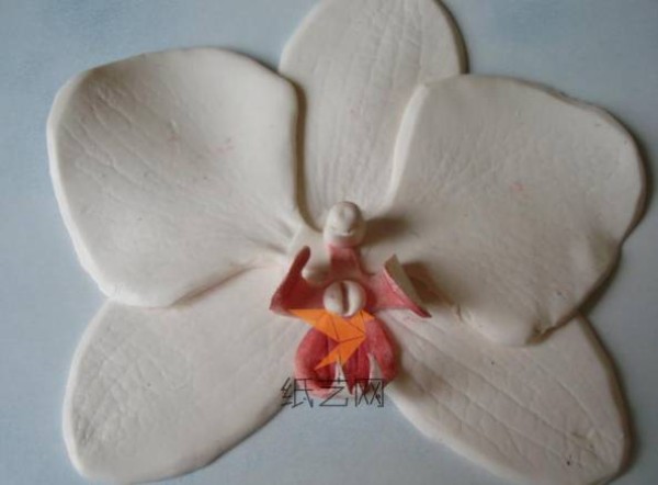 Tutorial on how to make Phalaenopsis artificial flowers made of ultra-light clay