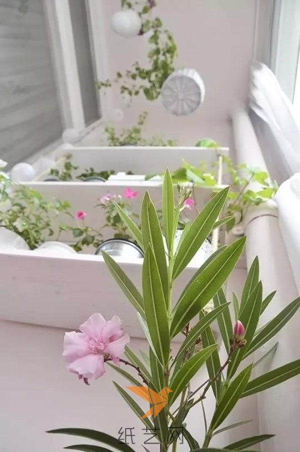 The young housewife renovated her balcony and had an extra garden in minutes!