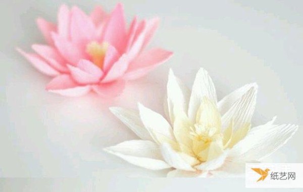 Illustrated steps on how to make lotus flowers of various colors using crepe paper