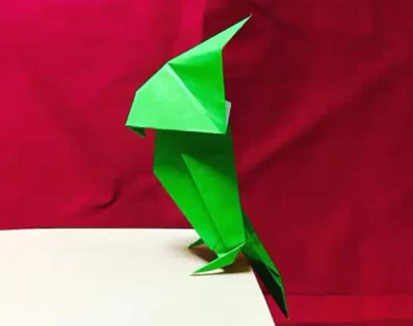 Origami video tutorial for simple origami parrot