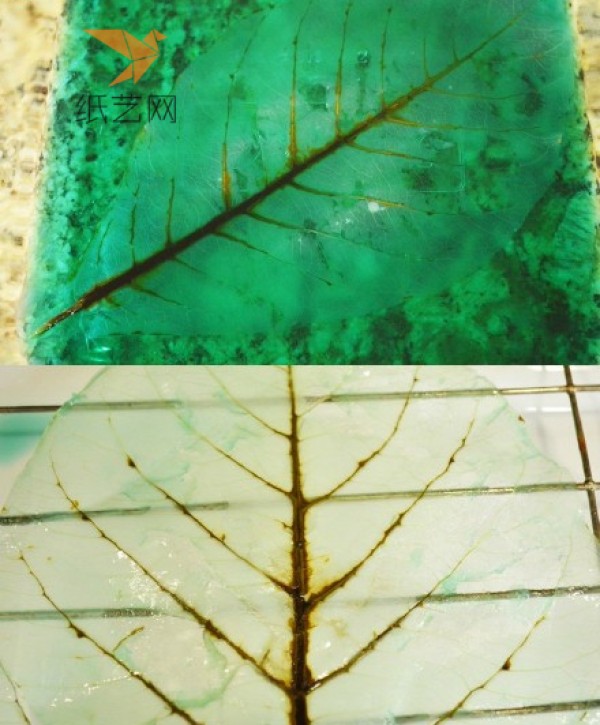 Tutorial on turning waste into treasure. Simple wind frame painting made of leaves