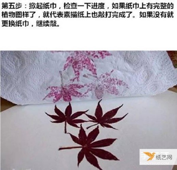 Detailed explanation of the steps and methods of making hand-made leaf rubbings with pictures