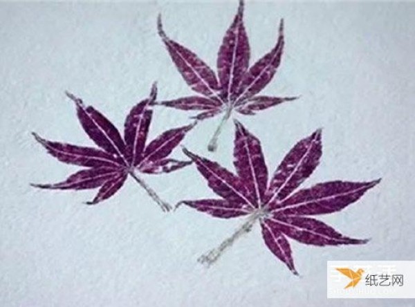 Detailed explanation of the steps and methods of making hand-made leaf rubbings with pictures