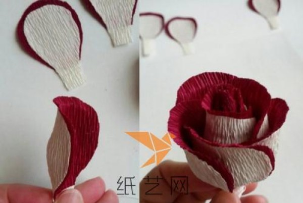 Beautiful two-color rose making tutorial