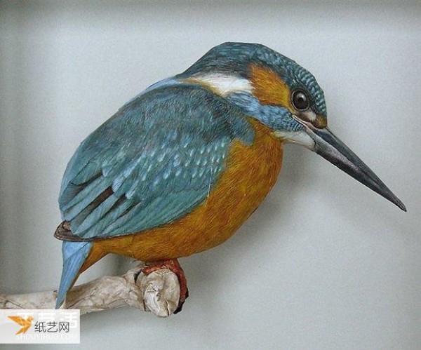 Comprehensive display of master-level detailed paper bird model pictures