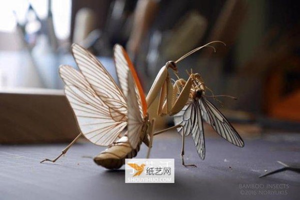 Delicately realistic insect models made from bamboo