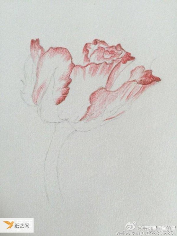 Step-by-step tutorial on how to draw flowers using colored pencils