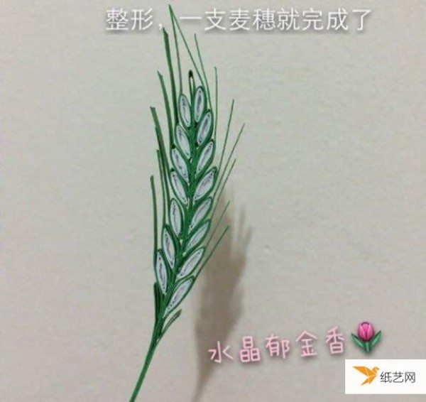 Tutorial on how to make hand-rolled wheat ears using quilling paper