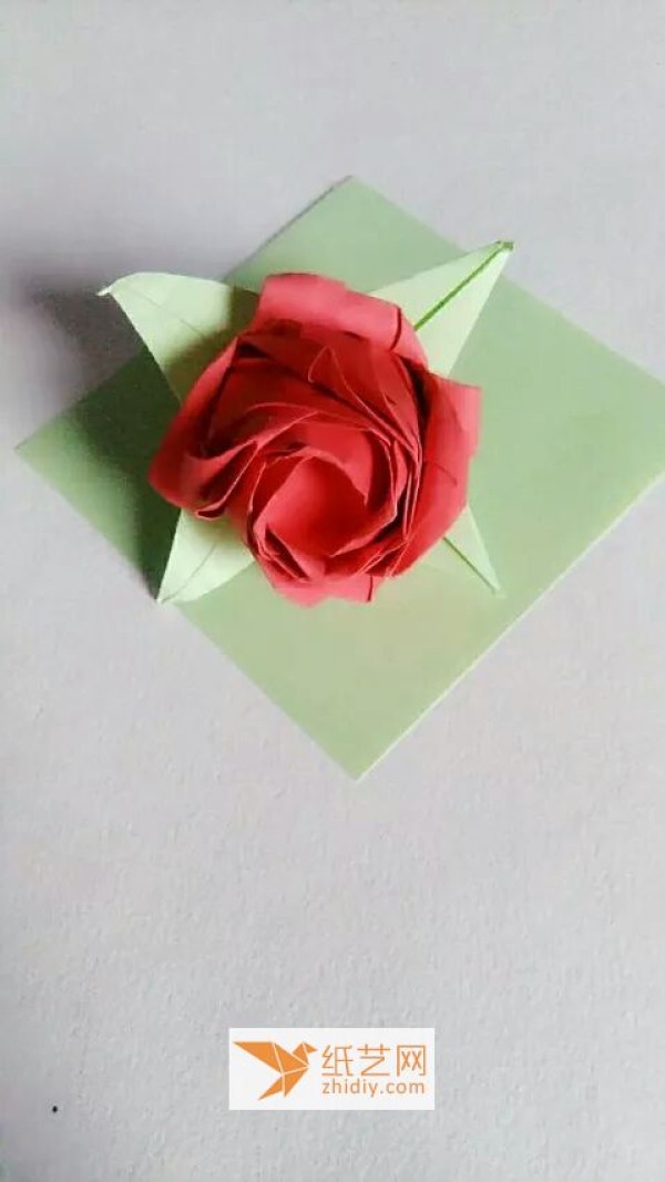 Simple and beautiful origami rose tutorial illustration